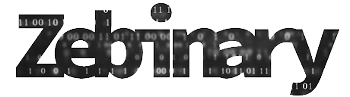 Zebinary logo